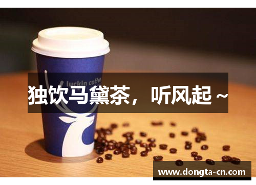 独饮马黛茶，听风起～